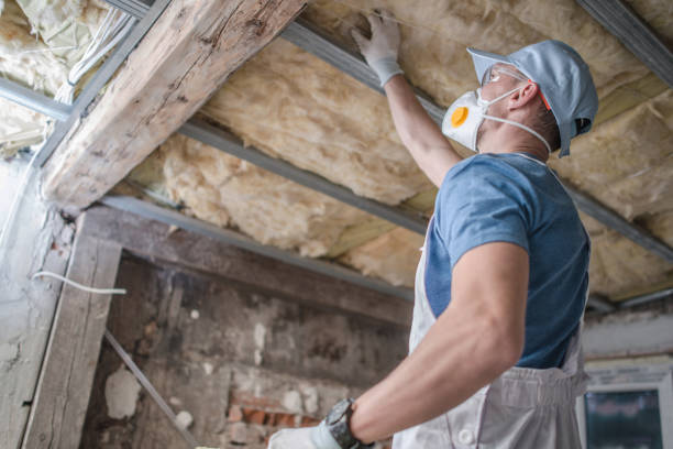 Best Geographic-Specific Insulation Services in New Hempstead, NY