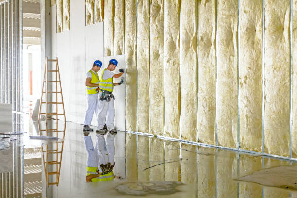 Best Eco-Friendly Insulation in New Hempstead, NY